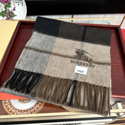 Burberry Scarves Womens Fashion Scarf097