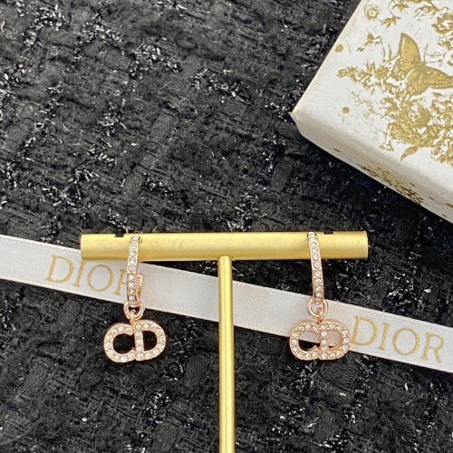 Dior Luxury Womens Earrings