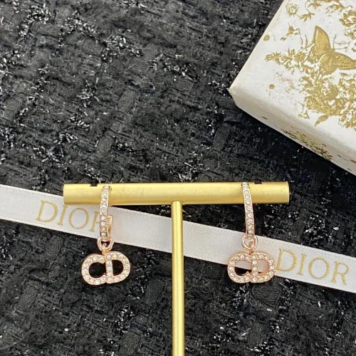 Dior Luxury Womens Earrings