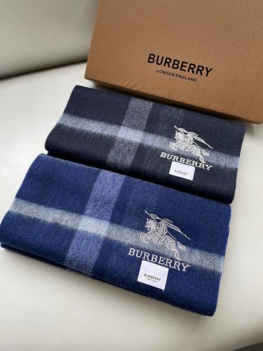 Burberry Scarves Womens Fashion Scarf261