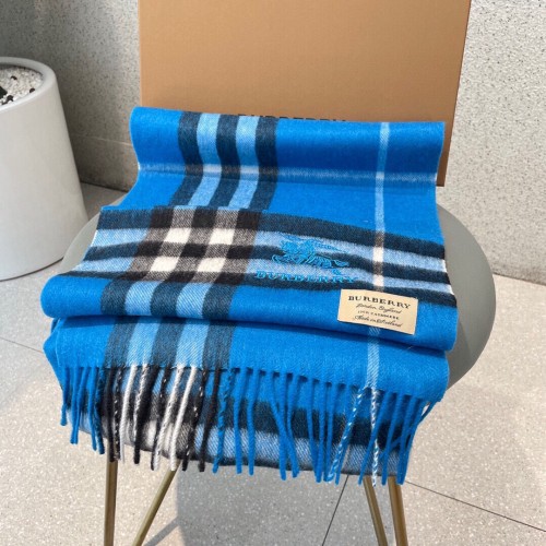 Burberry Scarves Womens Fashion Scarf193