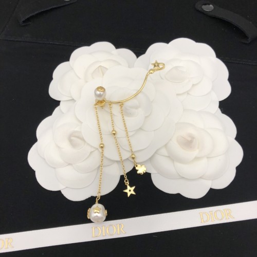 Dior Luxury Womens Earrings