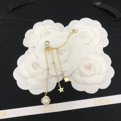 Dior Luxury Womens Earrings