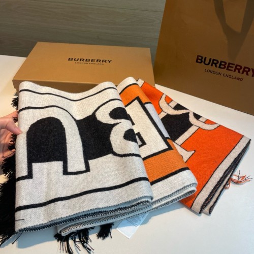 Burberry Scarves Womens Fashion Scarf054