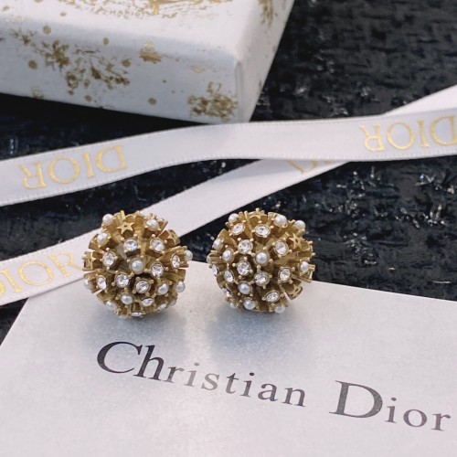 Dior Luxury Womens Earrings