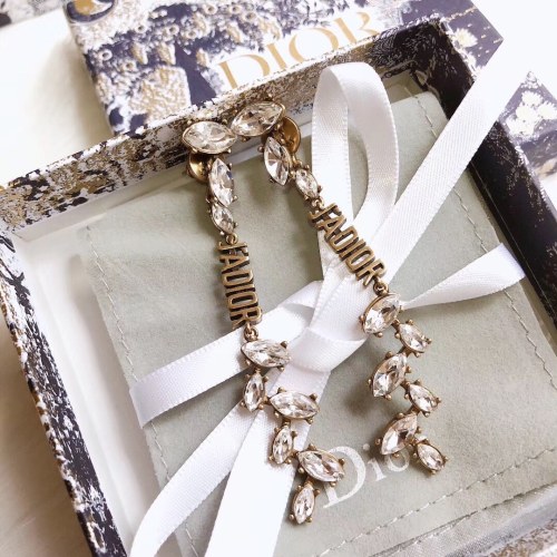 Dior Luxury Womens Earrings