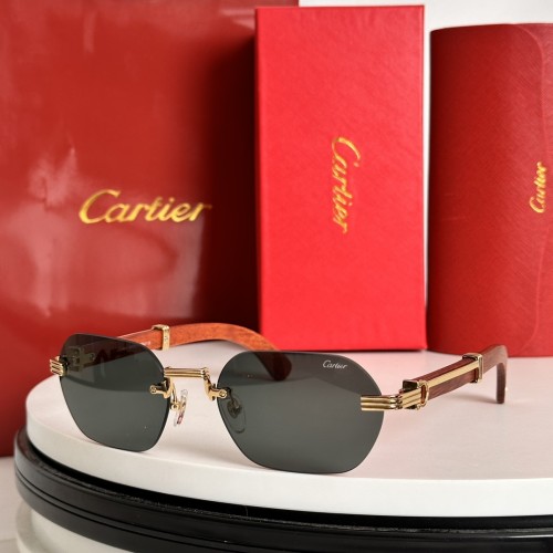 Cartier Sunglasses Luxury Brand Mens Sunglasses with Original Box  CT0362S