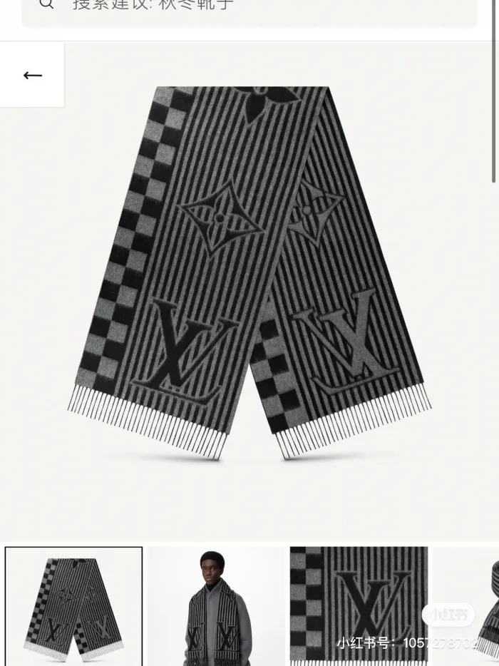Louis Vuitton Scarves Men Womens Fashion Scarf with Original Box   