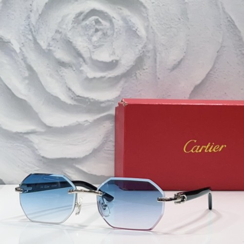 Cartier Sunglasses Luxury Brand Men Womens Sunglasses with Original Box  CT0439S