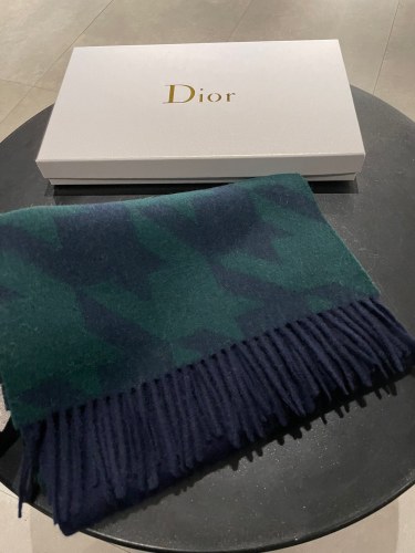 Dior Scarves Womens Fashion Scarf with117