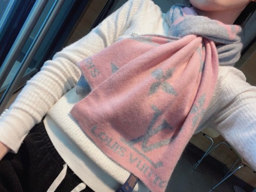 Louis Vuitton Scarves Men Womens Fashion Scarf with Original Box   