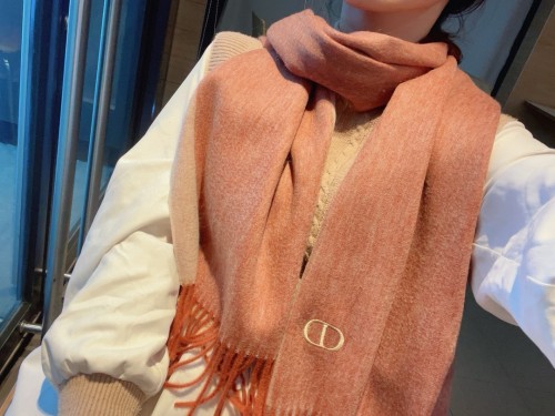 Dior Scarves Womens Fashion Scarf with076