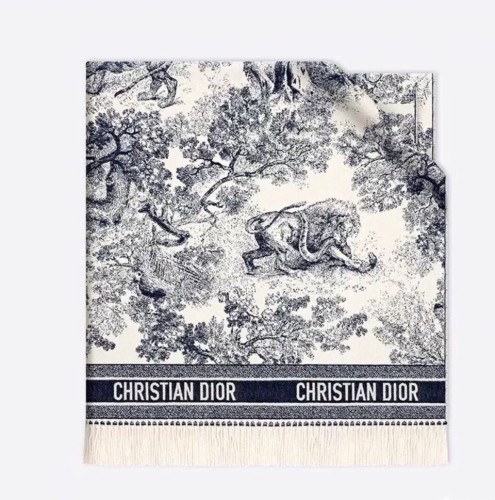 Dior Scarves Womens Fashion Scarf with360