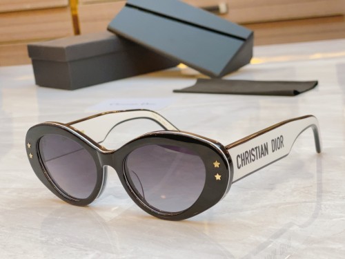 Dior Sunglasses Luxury Brand Men Womens Sunglasses with Original Box  CD5291