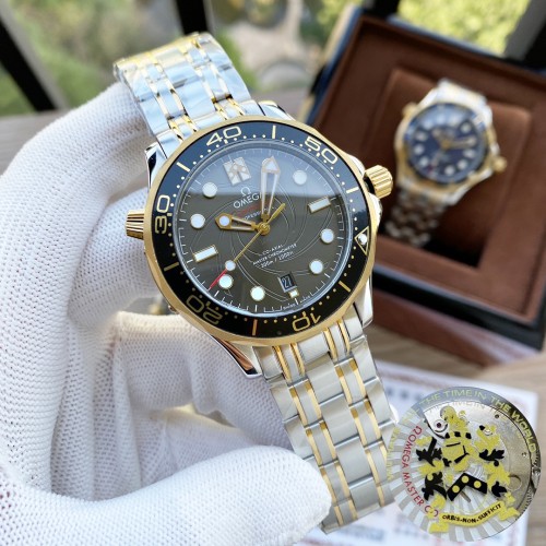 Omega Watch096