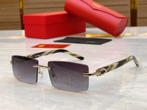 Cartier Sunglasses Luxury Brand Men Womens Sunglasses with Original Box  CT0272