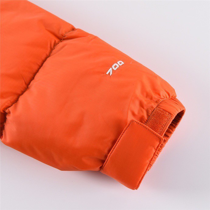 The North Face Down Jacket Men Womens Coats Luxury Brand Fashion Design   