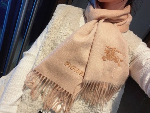 Burberry Scarves Womens Fashion Scarf074