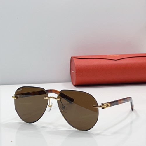 Cartier Sunglasses Luxury Brand Men Womens Sunglasses with Original Box  CT0440S