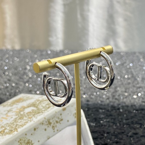 Dior Luxury Womens Earrings