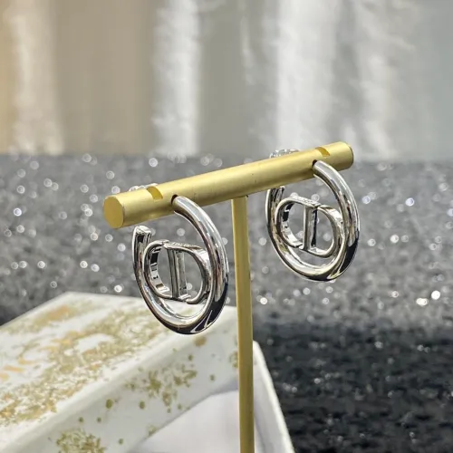 Dior Luxury Womens Earrings