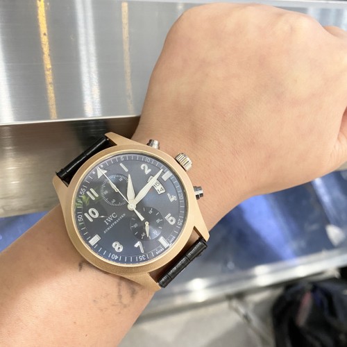 IWC Watch019