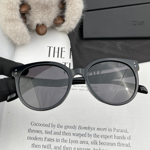Dior Sunglasses Luxury Brand Womens Sunglasses with Original Box  CD5106