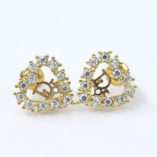 Dior Luxury Womens Earrings