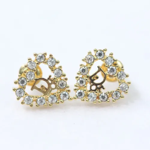 Dior Luxury Womens Earrings