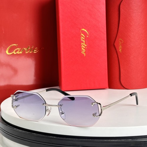 Cartier Sunglasses Luxury Brand Mens Sunglasses with Original Box  CT0091