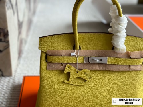 Hermes Womens Bags Handbags Luxury Fashion Hermès Birkin 30cm Sellier Faubourg  