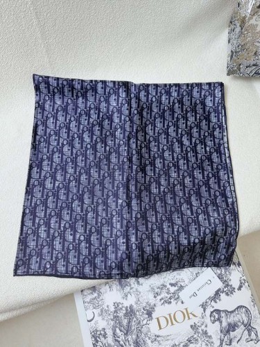 Dior Scarves Womens Fashion Scarf with037