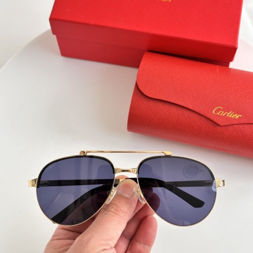 Cartier Sunglasses Luxury Brand Men Womens Sunglasses with Original Box   CT0354/S