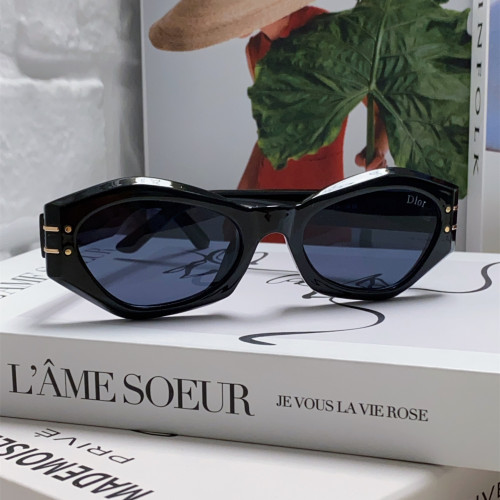 Dior Sunglasses Luxury Brand Men Womens Sunglasses DiorSignature B1U with Original Box  