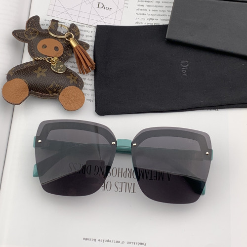 Dior Sunglasses Luxury Brand Womens Sunglasses with Original Box  CD1888