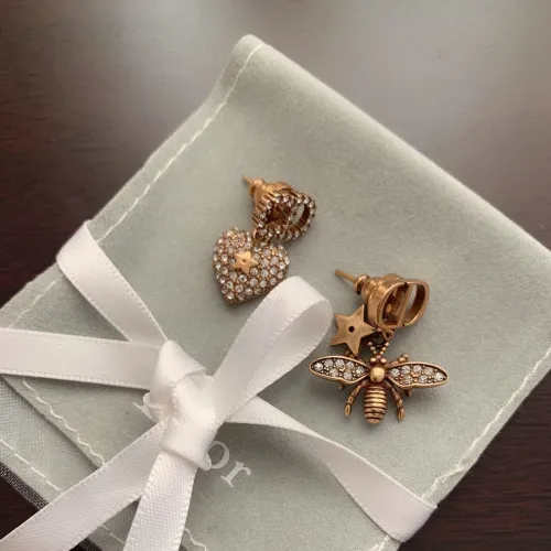 Dior Luxury Womens Earrings
