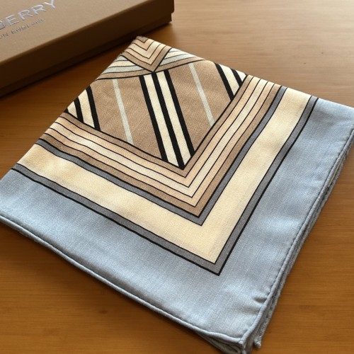 Burberry Scarves Womens Fashion Scarf047