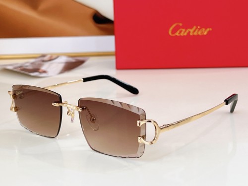 Cartier Sunglasses Luxury Brand Men Womens Sunglasses with Original Box  CT0094
