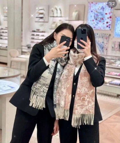 Dior Scarves Womens Fashion Scarf with112