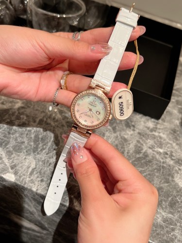Omega Watch244