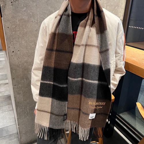Burberry Scarves Womens Fashion Scarf095