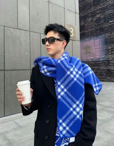 Burberry Scarves Womens Fashion Scarf005