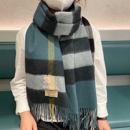 Burberry Scarves Womens Fashion Scarf191