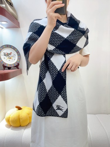 Burberry Scarves Womens Fashion Scarf088