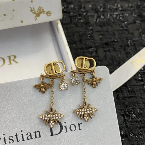 Dior Luxury Womens Earrings