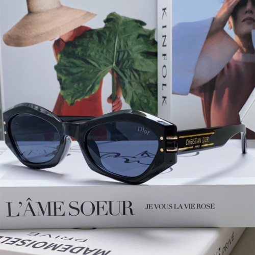 Dior Sunglasses Luxury Brand Men Womens Sunglasses DiorSignature B1U with Original Box  