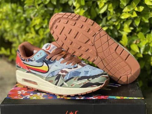 Nike Air Max 1 SP Concepts Heavy