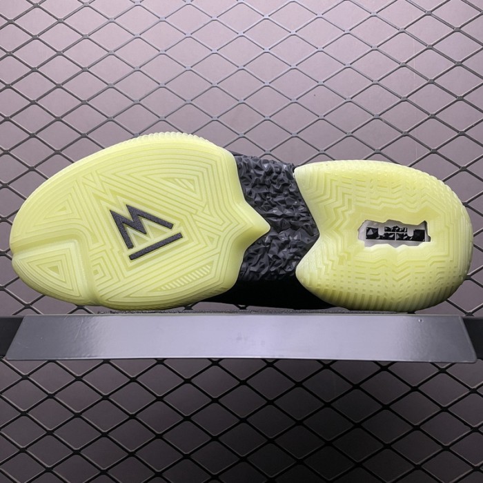 Nike LeBron Ambassador 13