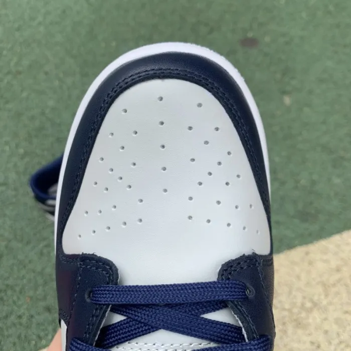 Nike Dunk Low Georgetown