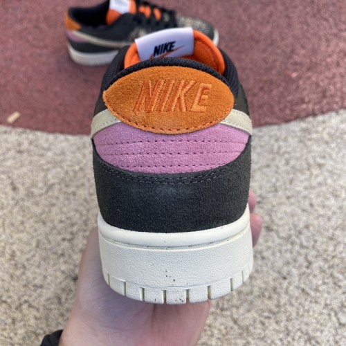 Nike Dunk Low Rainbow Trout